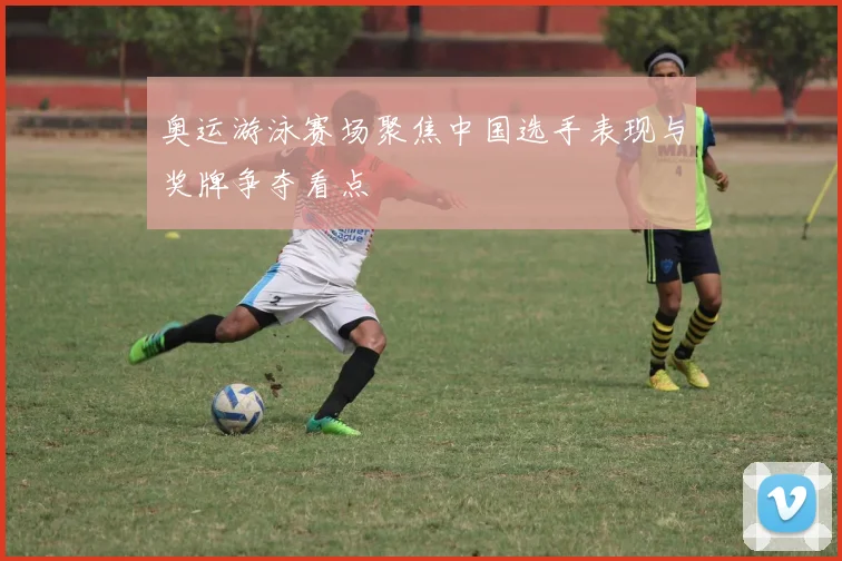 奥运游泳赛场聚焦中国选手表现与奖牌争夺看点