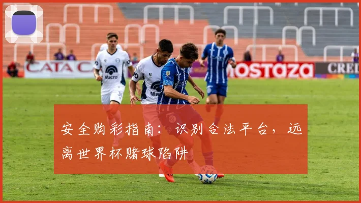 安全购彩指南：识别合法平台，远离世界杯赌球陷阱