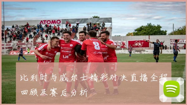 比利时与威尔士精彩对决直播全程回顾及赛后分析