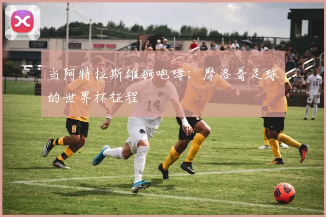 当阿特拉斯雄狮咆哮：摩洛哥足球的世界杯征程